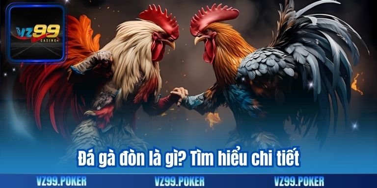 Đá gà đòn là gì? Tìm hiểu chi tiết