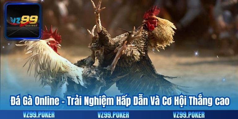 Đá Gà Online - Trải Nghiệm Hấp Dẫn Và Cơ Hội Thắng cao
