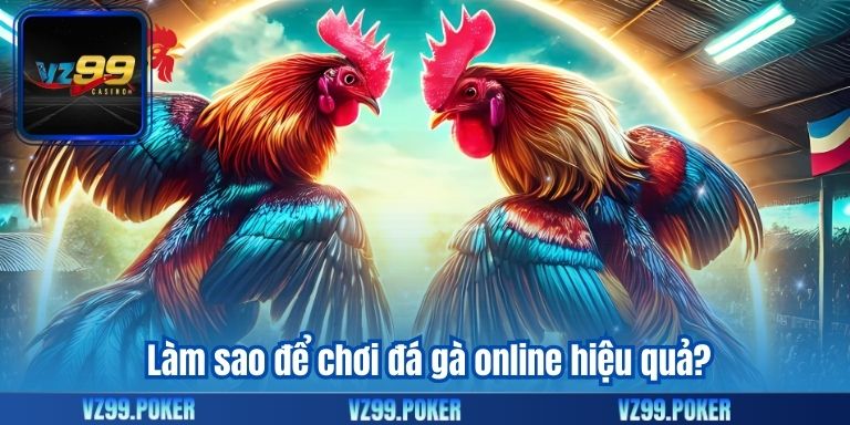 Làm sao để chơi đá gà online hiệu quả?