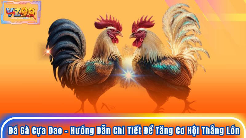 Đá Gà Cựa Dao - Hướng Dẫn Chi Tiết Để Tăng Cơ Hội Thắng Lớn