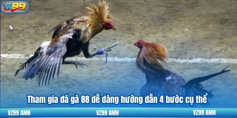 Đá Gà 88 – Nơi Trải Nghiệm Những Trận Đấu Đỉnh Cao Kịch Tính 8 Tham gia đá gà 88 dễ dàng hướng dẫn 4 bước cụ thể