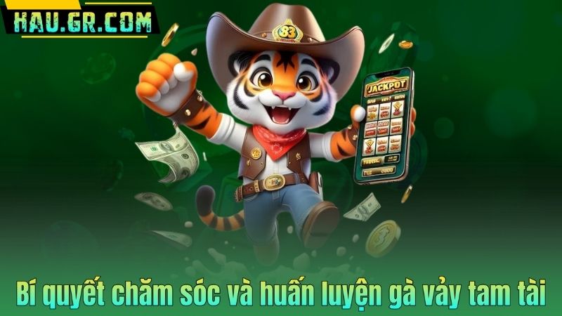 Bí quyết chăm sóc và huấn luyện gà vảy tam tài